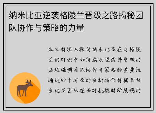 纳米比亚逆袭格陵兰晋级之路揭秘团队协作与策略的力量