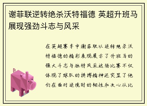 谢菲联逆转绝杀沃特福德 英超升班马展现强劲斗志与风采