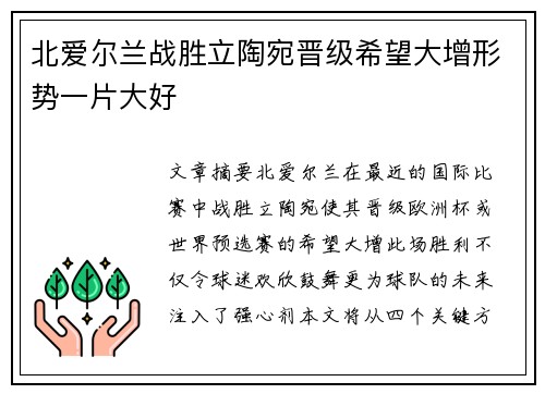 北爱尔兰战胜立陶宛晋级希望大增形势一片大好