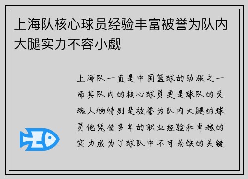 上海队核心球员经验丰富被誉为队内大腿实力不容小觑